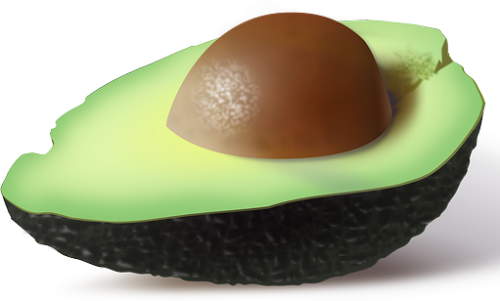 crescere avocado casa