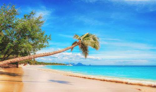 capodanno al caldo caraibi