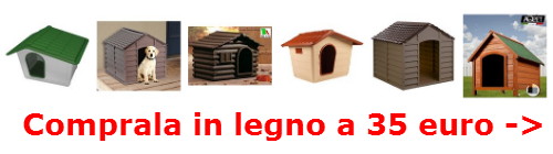 prezzi cucce legno